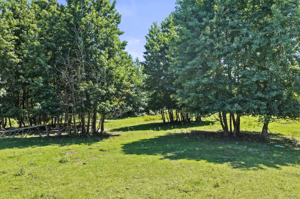 1710 COUNTY ROAD 2928 Hughes Springs, TX 75656