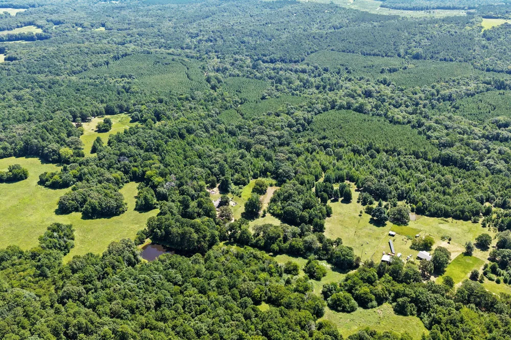 1710 COUNTY ROAD 2928 Hughes Springs, TX 75656