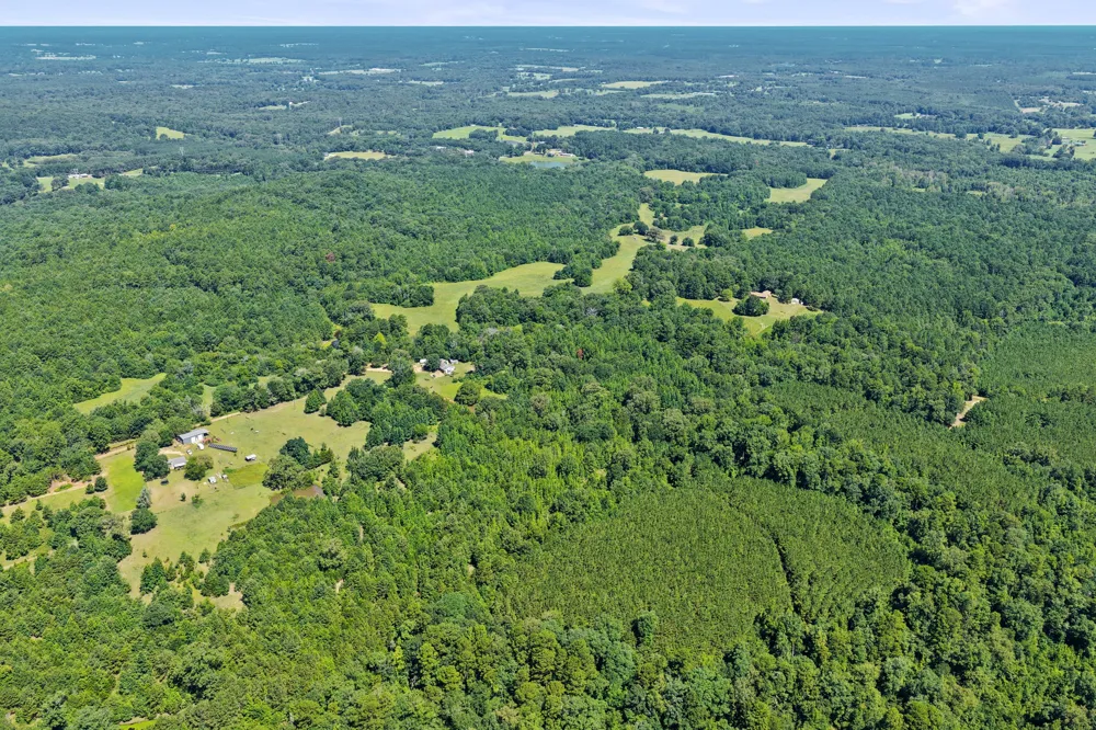 1710 COUNTY ROAD 2928 Hughes Springs, TX 75656
