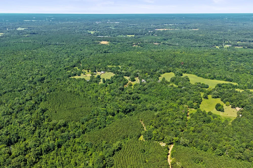 1710 COUNTY ROAD 2928 Hughes Springs, TX 75656