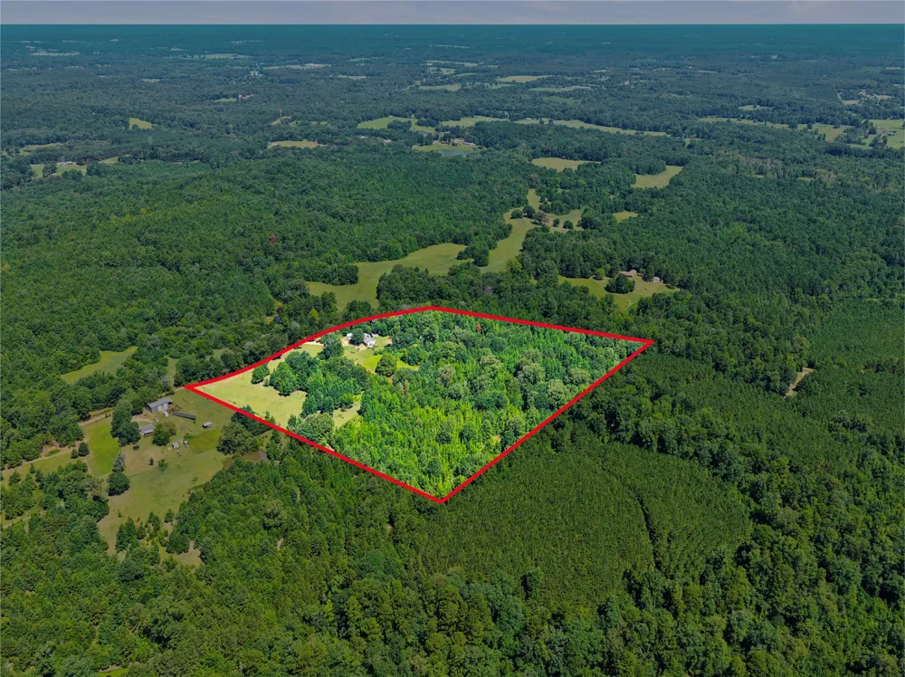 1710 COUNTY ROAD 2928 Hughes Springs, TX 75656