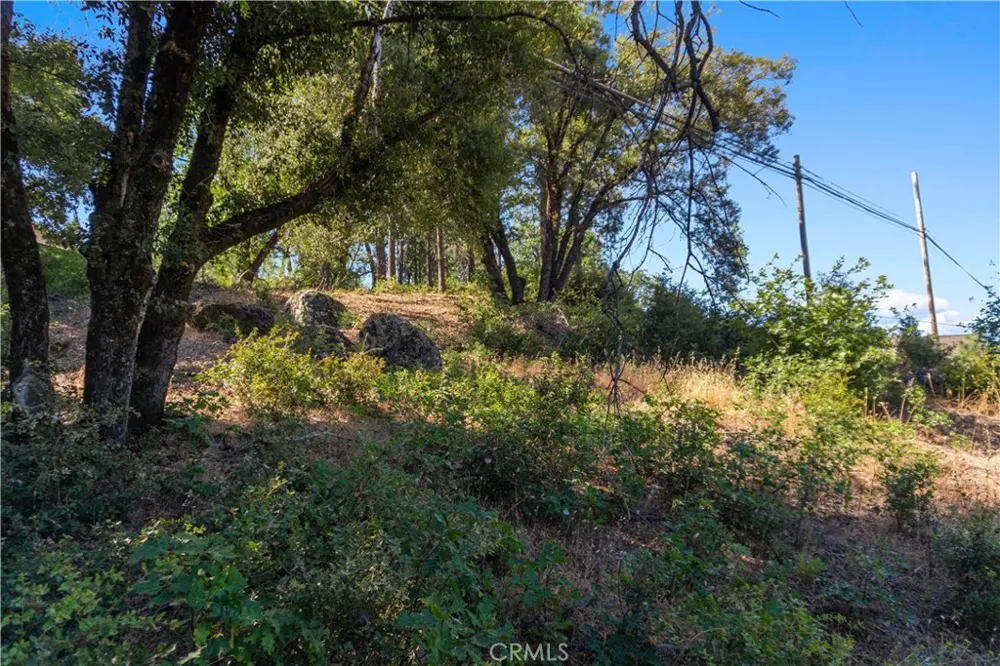1 S Auburn Street Colfax, CA 95713