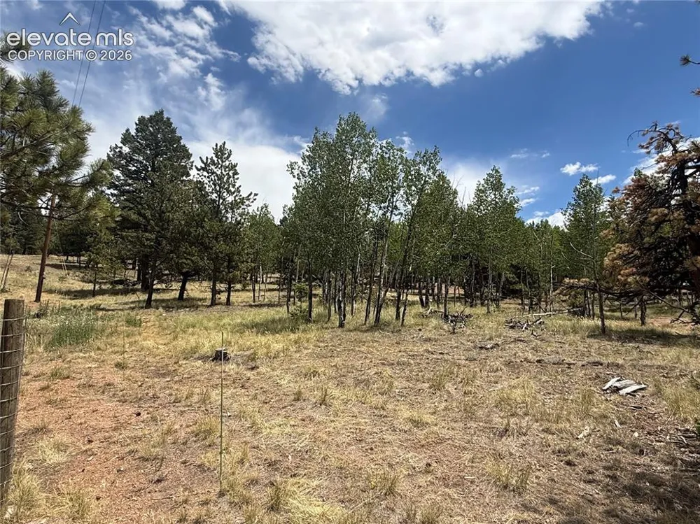 24 Big Horn Circle Florissant, CO 80816