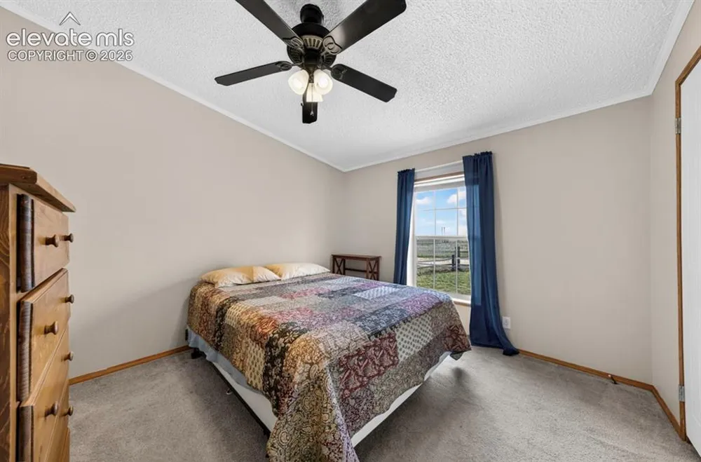 755 High Prairie Point Calhan, CO 80808