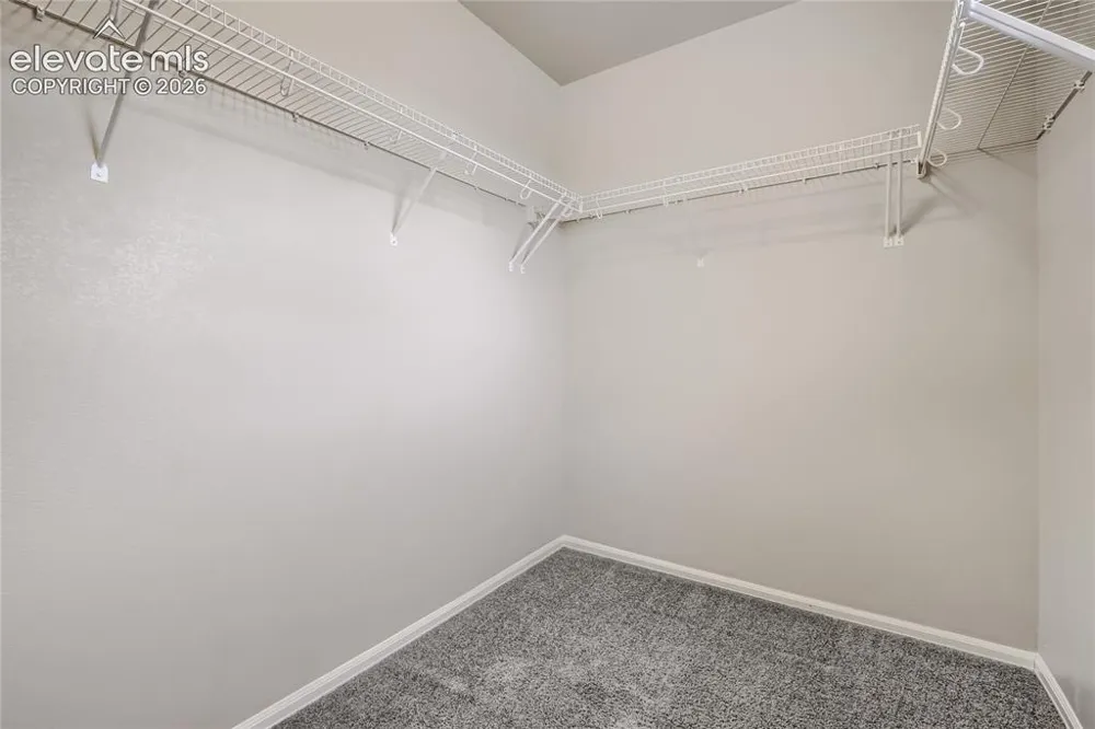 7104 Bracken Place Fountain, CO 80817