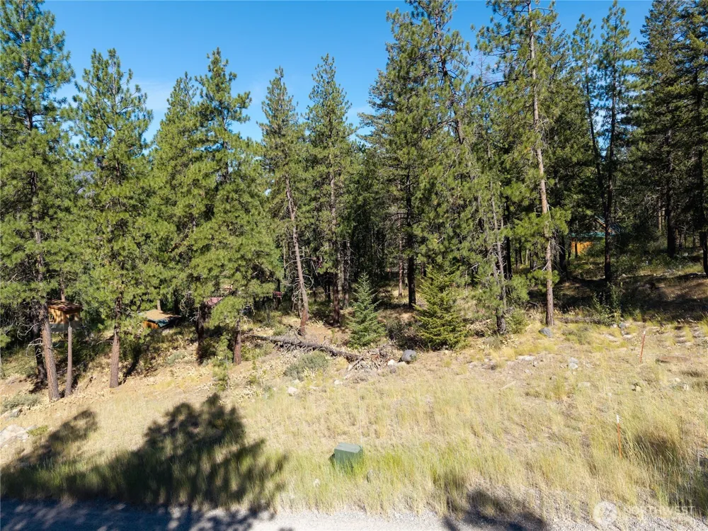 16 Highland Meadow Road Winthrop, WA 98862