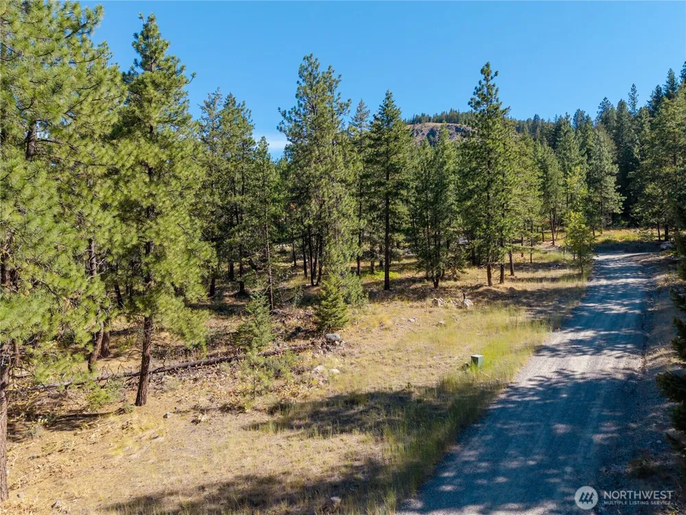 16 Highland Meadow Road Winthrop, WA 98862