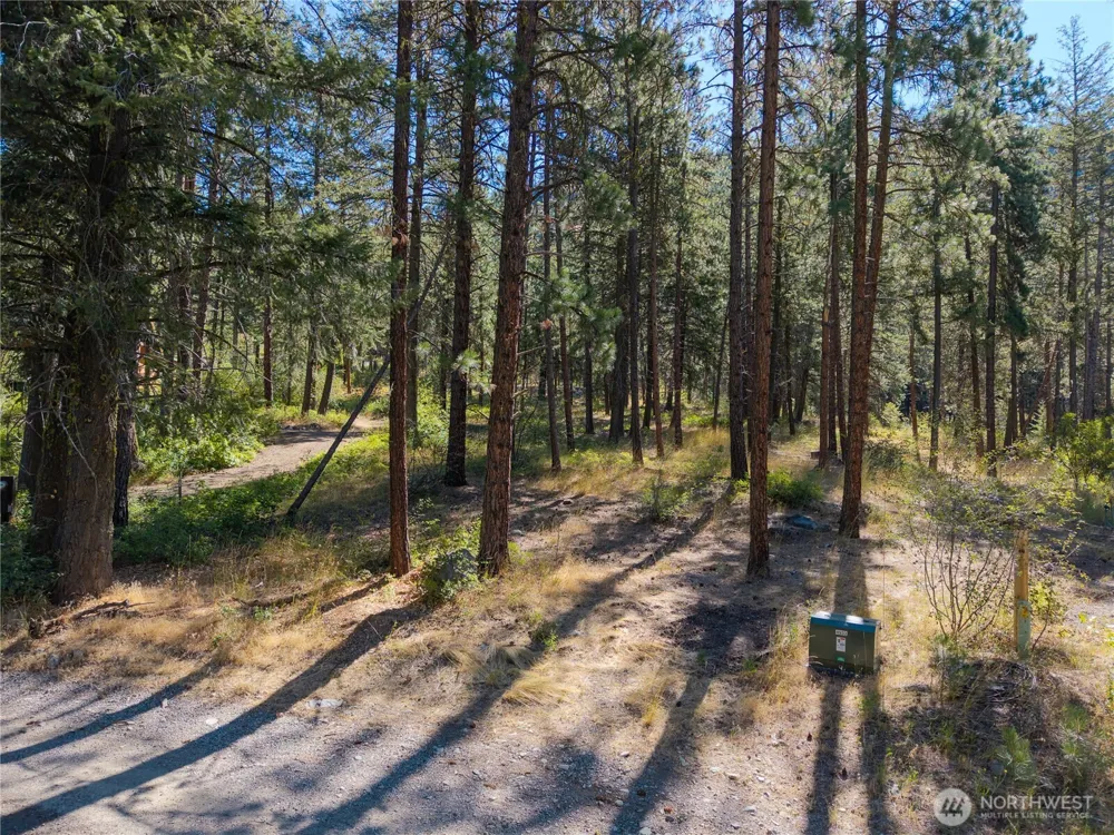 16 Highland Meadow Road Winthrop, WA 98862