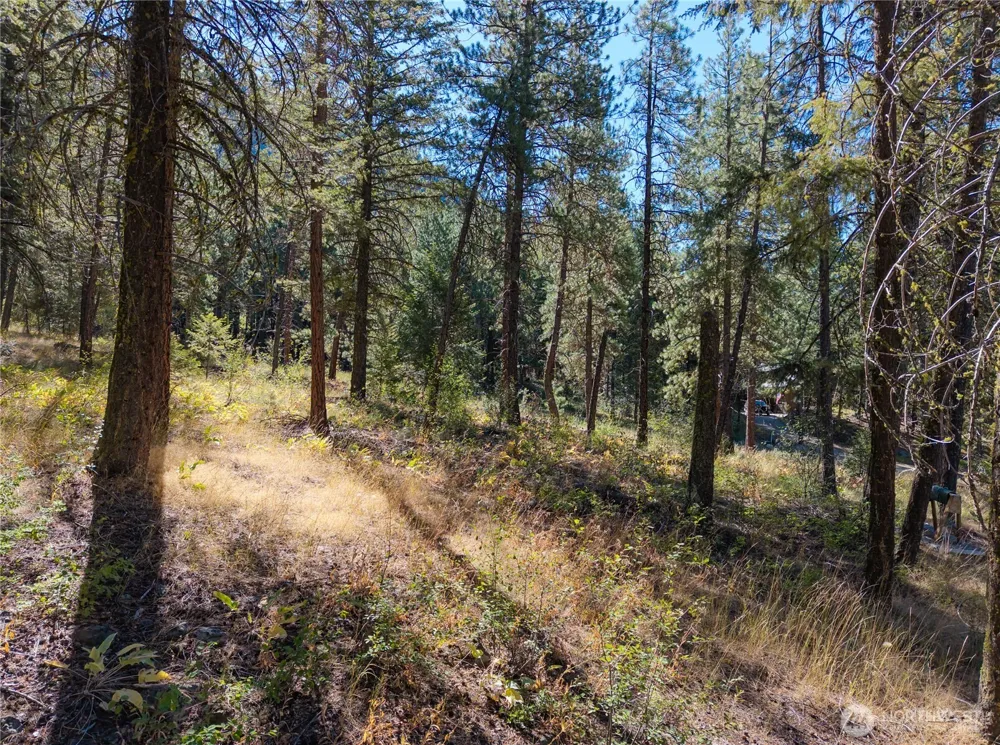 16 Highland Meadow Road Winthrop, WA 98862