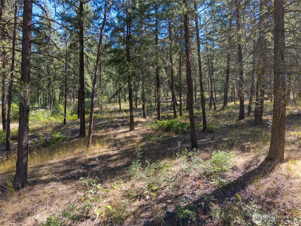 16 Highland Meadow Road Winthrop, WA 98862