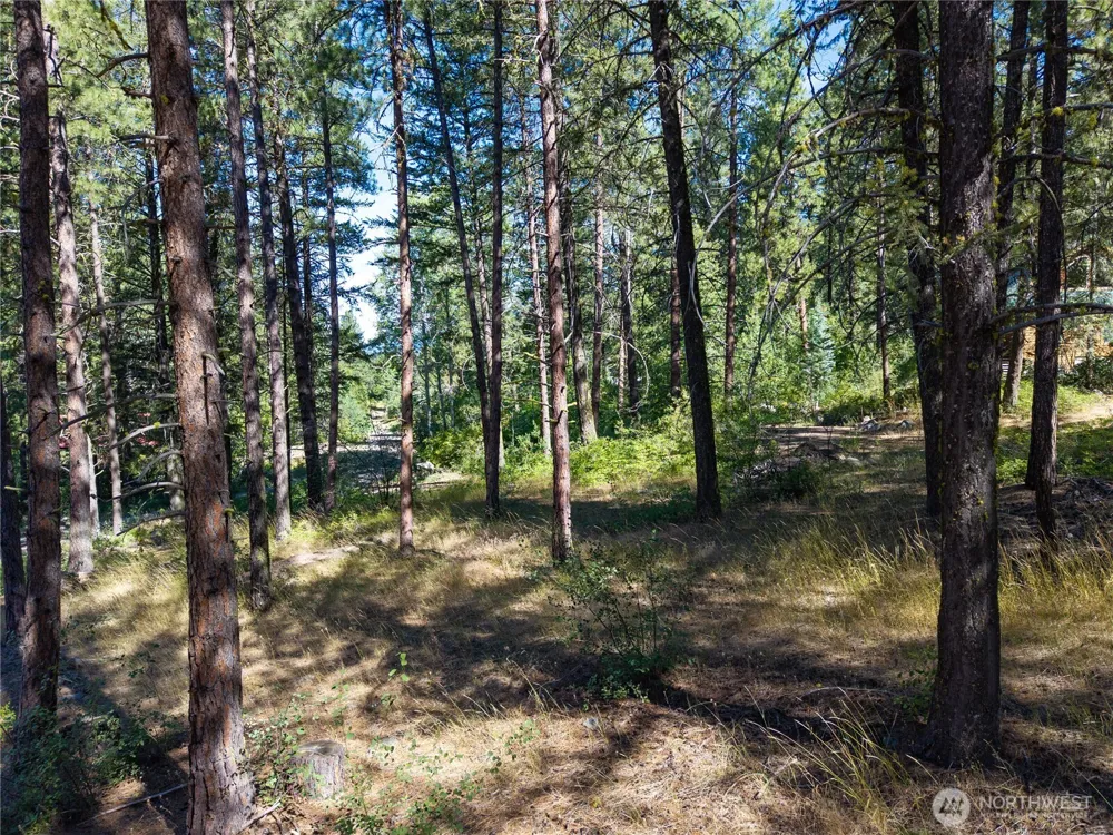16 Highland Meadow Road Winthrop, WA 98862