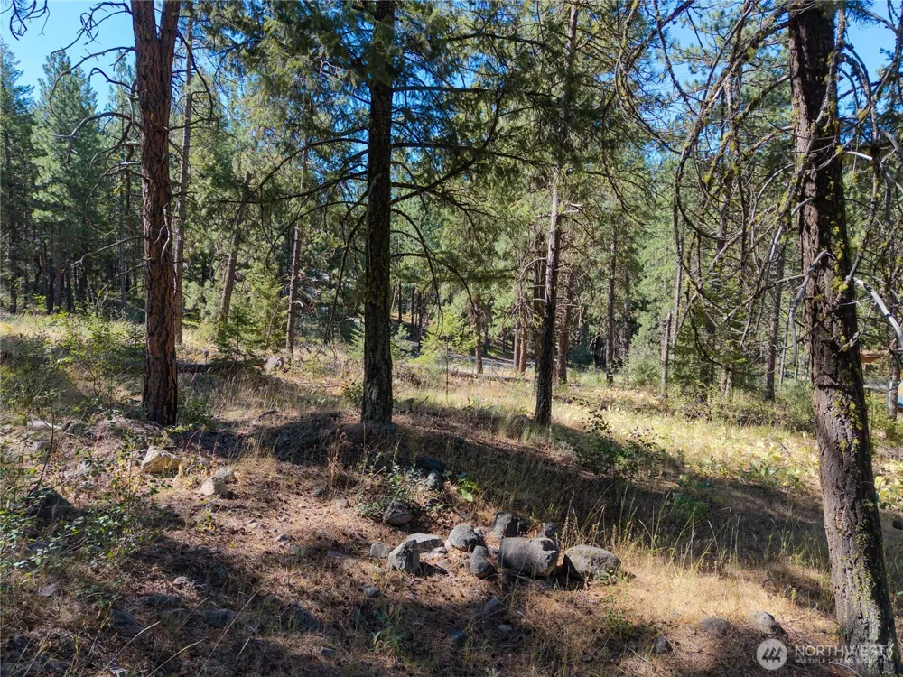 16 Highland Meadow Road Winthrop, WA 98862