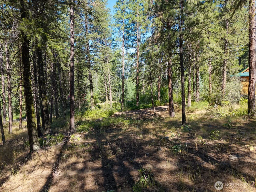 16 Highland Meadow Road Winthrop, WA 98862
