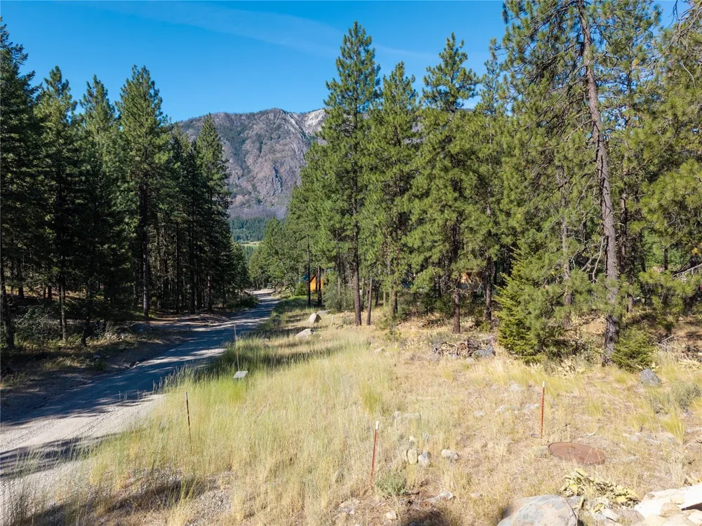 16 Highland Meadow Road Winthrop, WA 98862