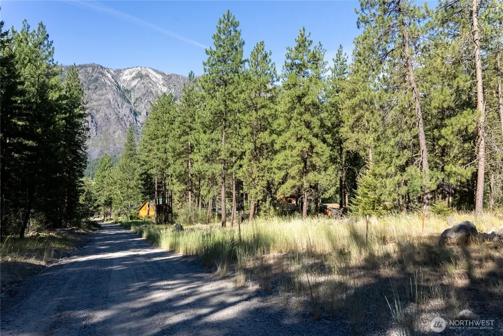 16 Highland Meadow Road Winthrop, WA 98862