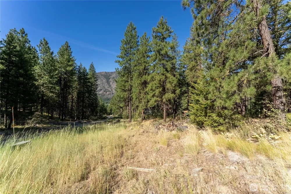 16 Highland Meadow Road Winthrop, WA 98862
