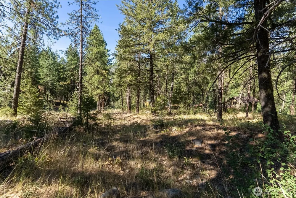 16 Highland Meadow Road Winthrop, WA 98862