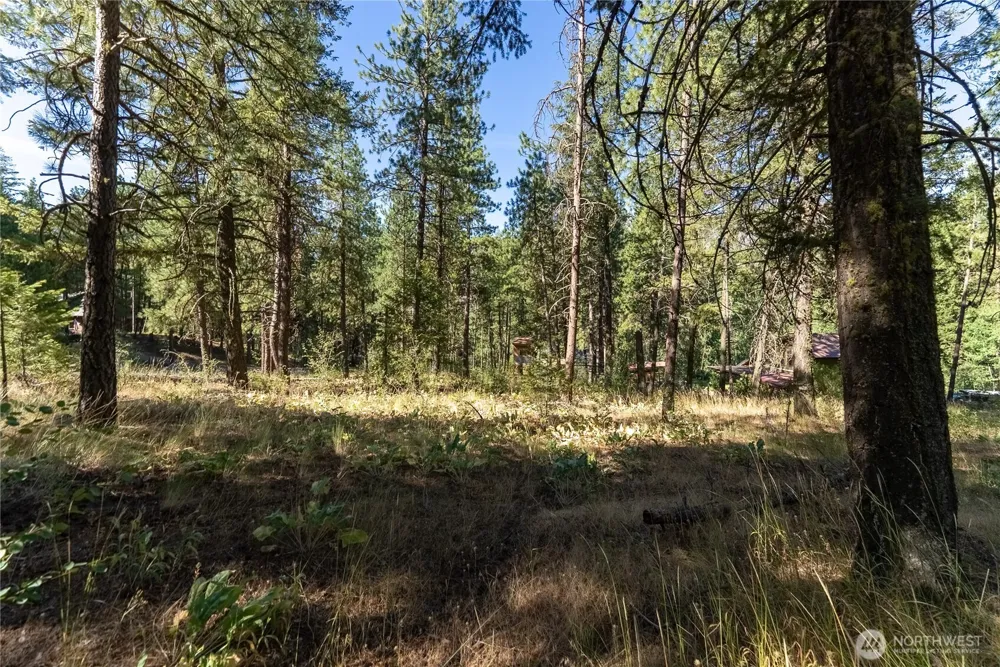 16 Highland Meadow Road Winthrop, WA 98862