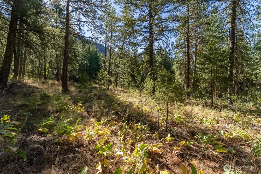 16 Highland Meadow Road Winthrop, WA 98862