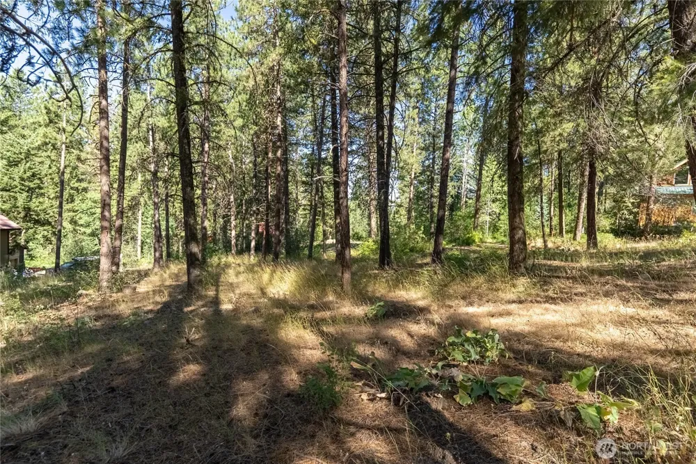 16 Highland Meadow Road Winthrop, WA 98862