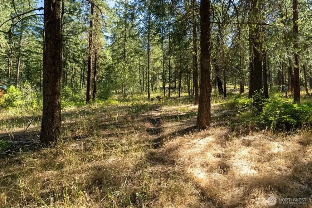16 Highland Meadow Road Winthrop, WA 98862