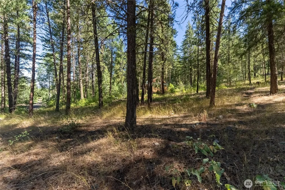16 Highland Meadow Road Winthrop, WA 98862