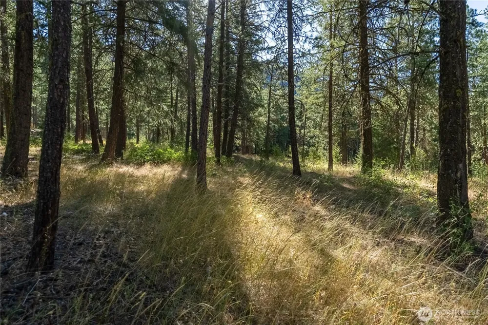 16 Highland Meadow Road Winthrop, WA 98862