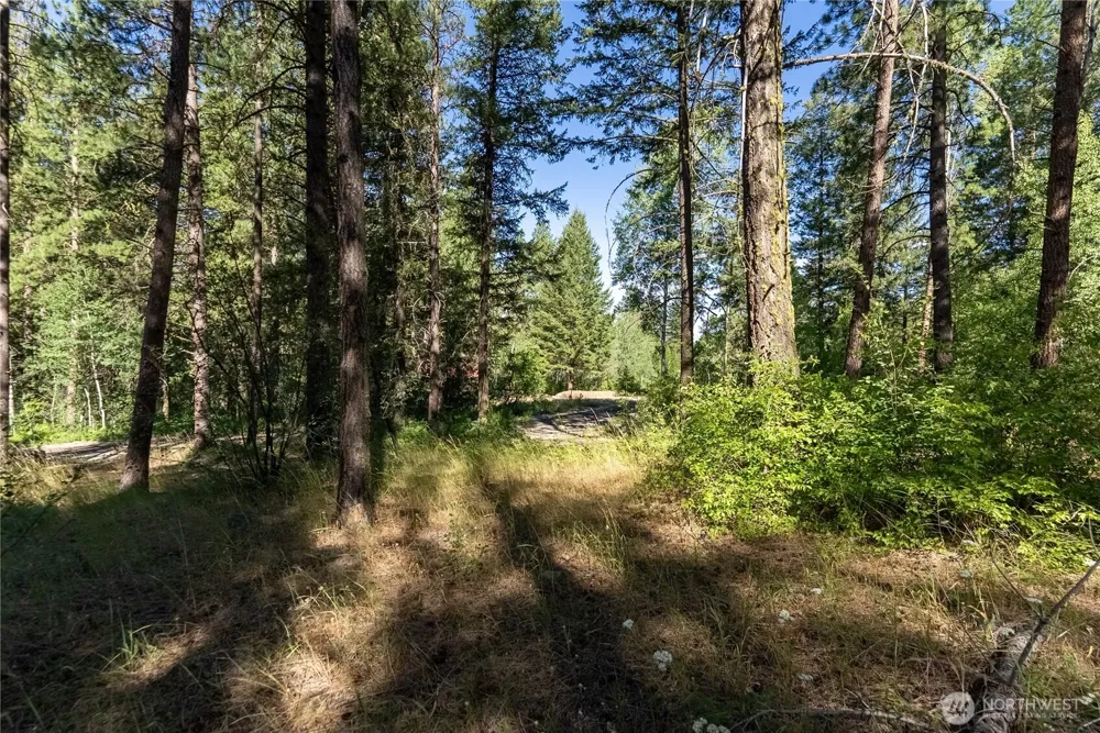 16 Highland Meadow Road Winthrop, WA 98862
