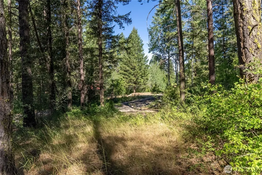 16 Highland Meadow Road Winthrop, WA 98862