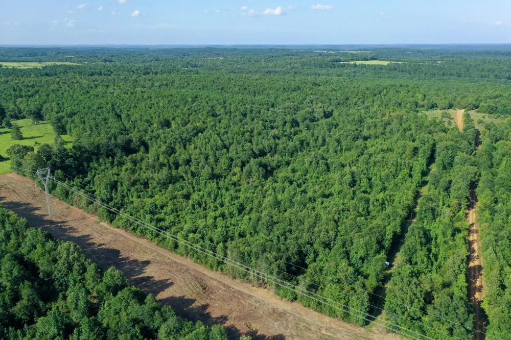 County Road 2907 Hughes Springs, TX 75656