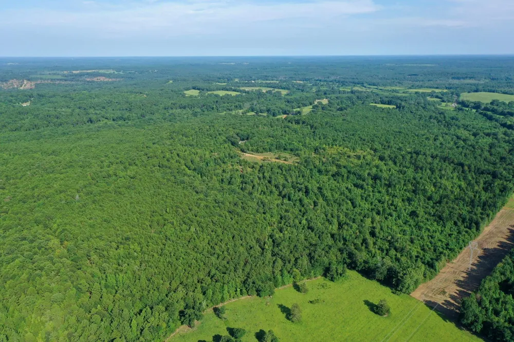 County Road 2907 Hughes Springs, TX 75656