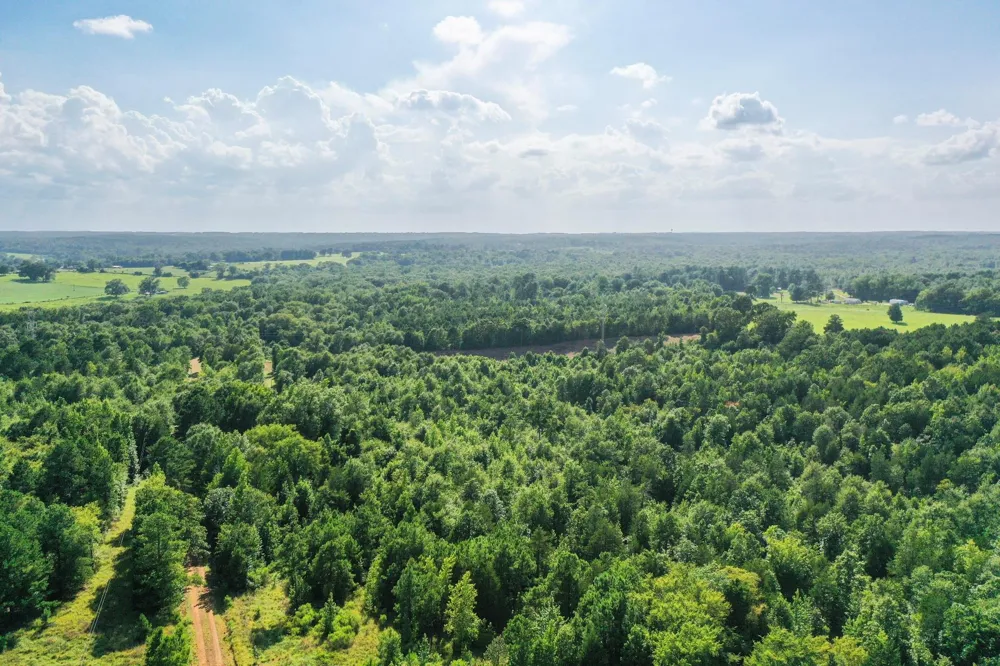 County Road 2907 Hughes Springs, TX 75656