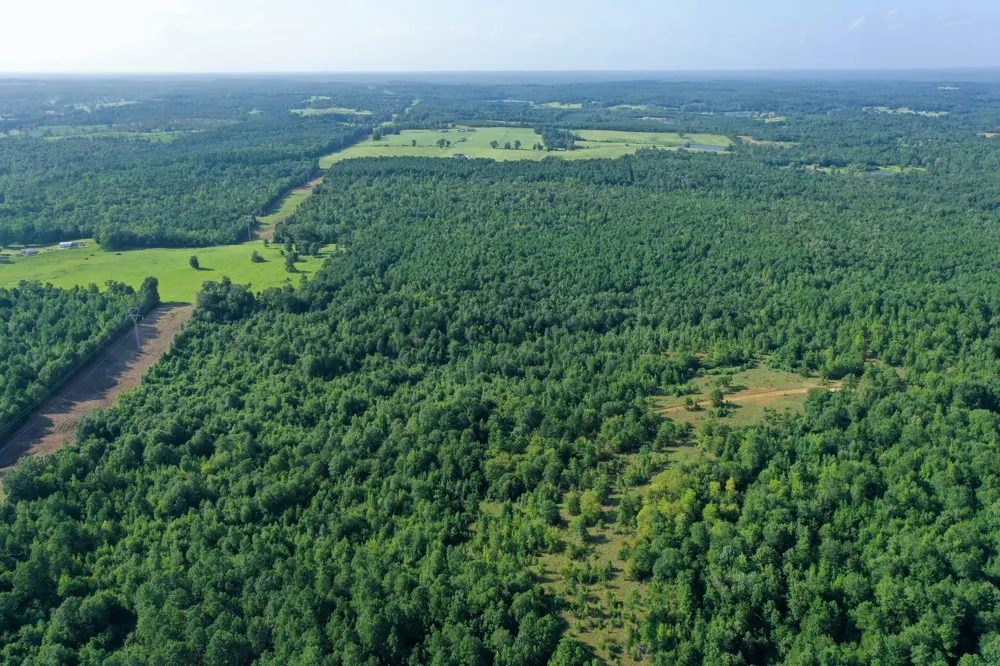 County Road 2907 Hughes Springs, TX 75656