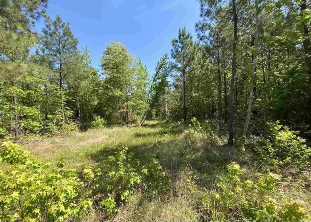 County Road 2907 Hughes Springs, TX 75656