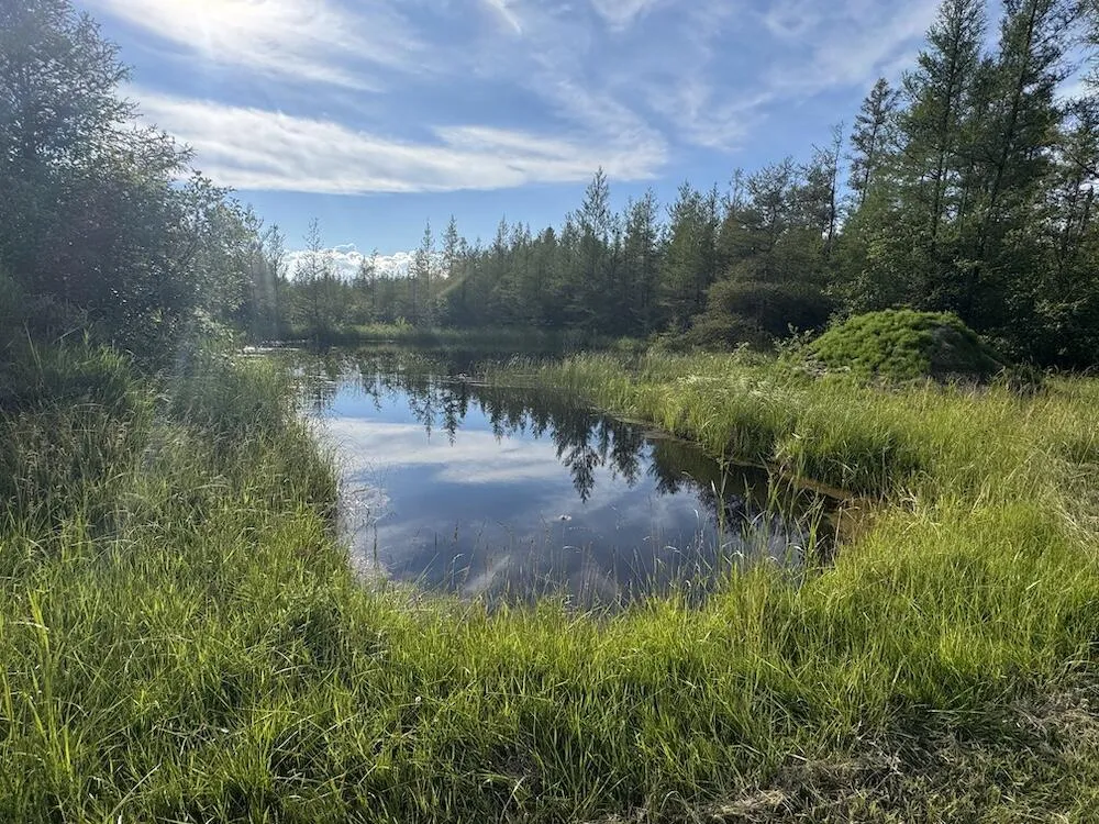 Knute Road Wilber Township, MI 48730