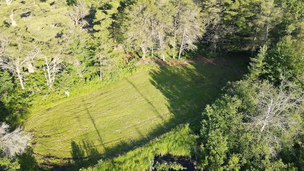 Knute Road Wilber Township, MI 48730