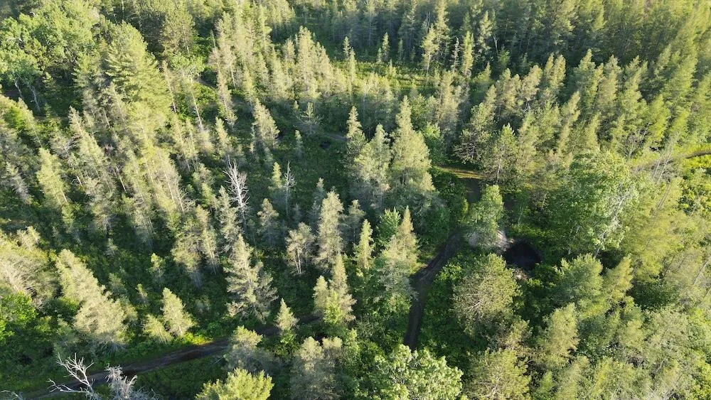 Knute Road Wilber Township, MI 48730