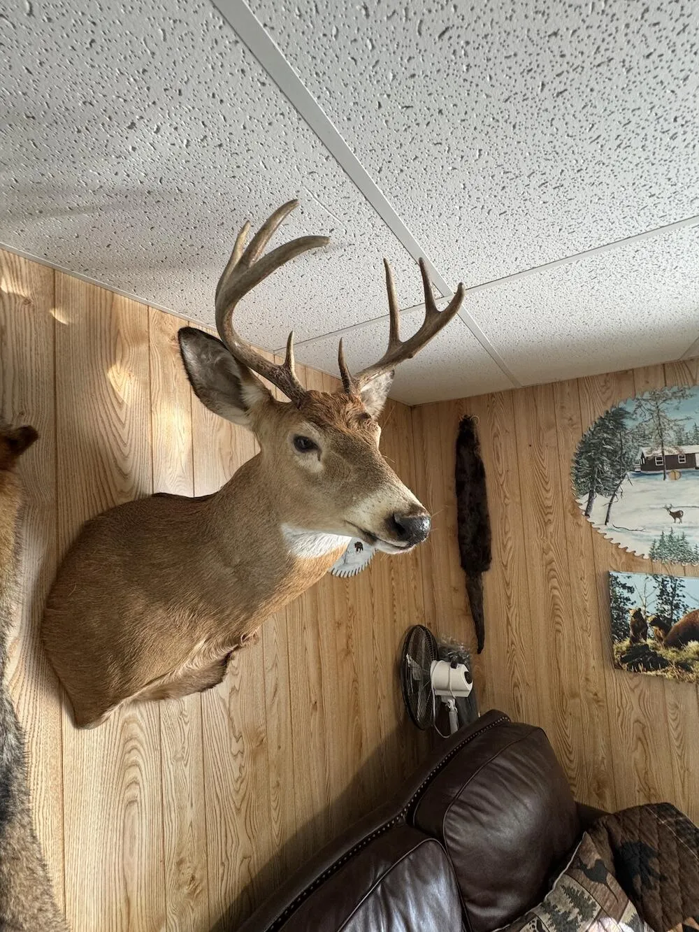 Knute Road Wilber Township, MI 48730