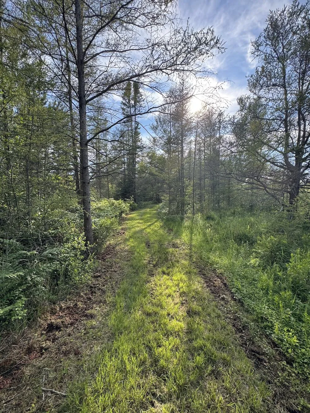 Knute Road Wilber Township, MI 48730