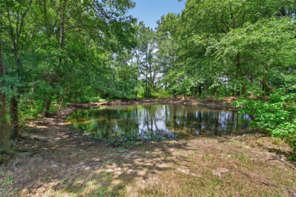 1094 County Road 2389 Alba, TX 75410