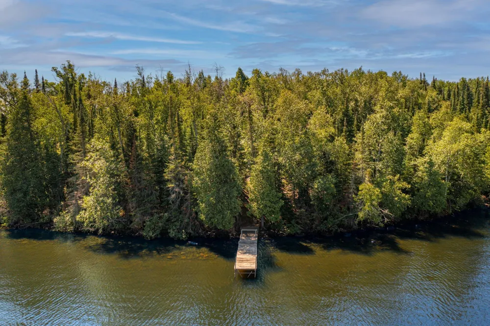 TBD Gold Island Tower, MN 55790