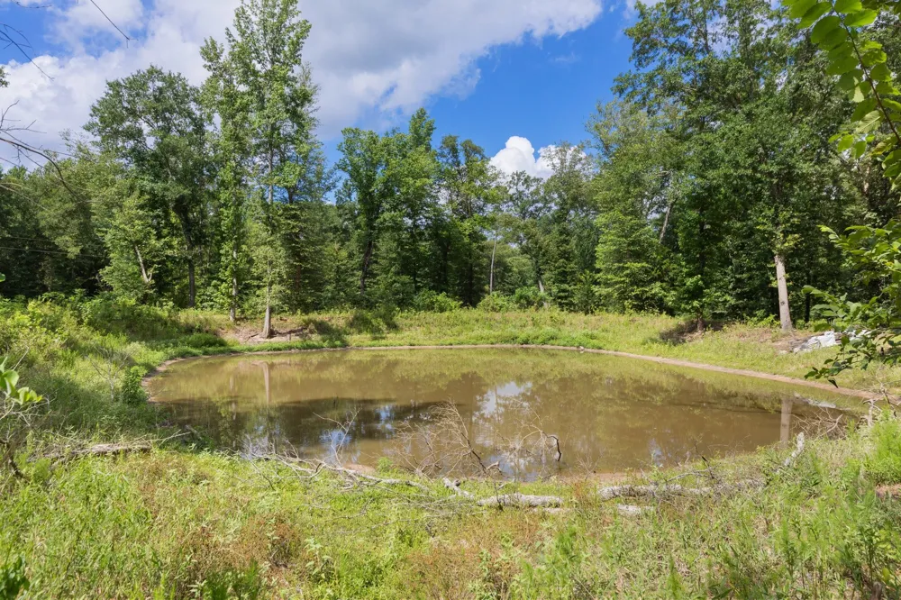 188 CR 4583 Winnsboro, TX 75494