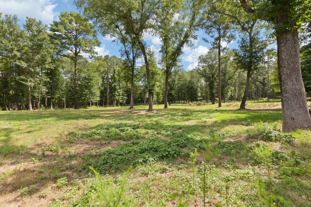 188 CR 4583 Winnsboro, TX 75494