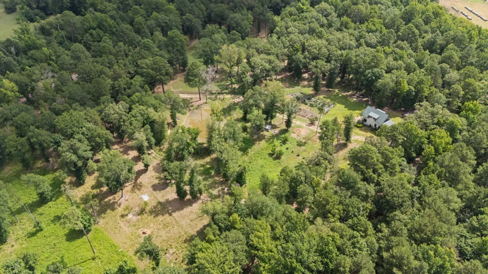 188 CR 4583 Winnsboro, TX 75494