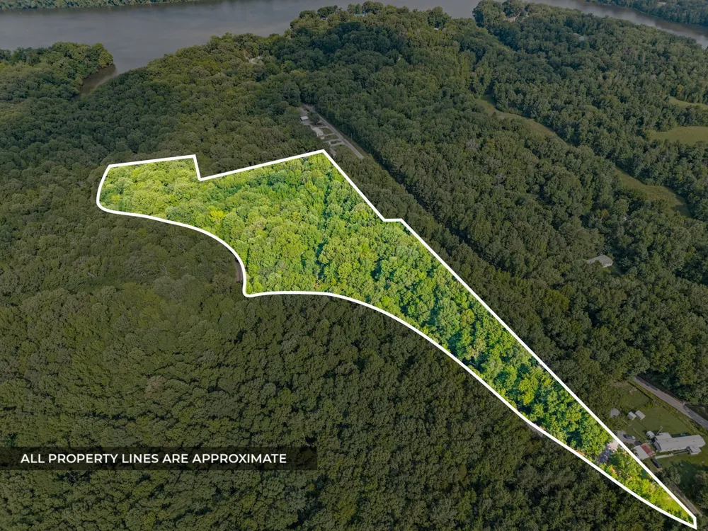 0 Forest Trail Bumpus Mills, TN 37028