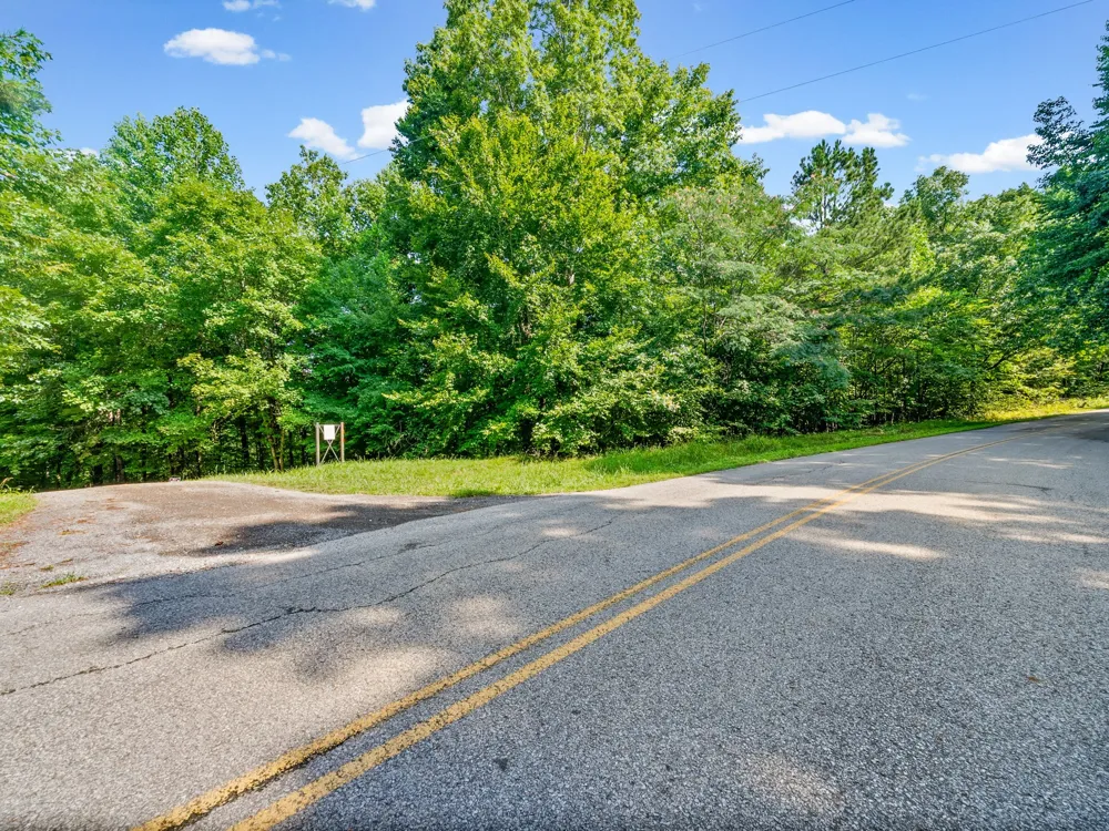 0 Forest Trail Bumpus Mills, TN 37028