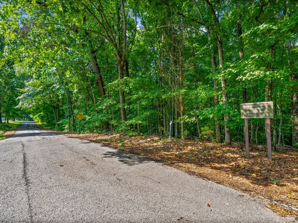 0 Forest Trail Bumpus Mills, TN 37028
