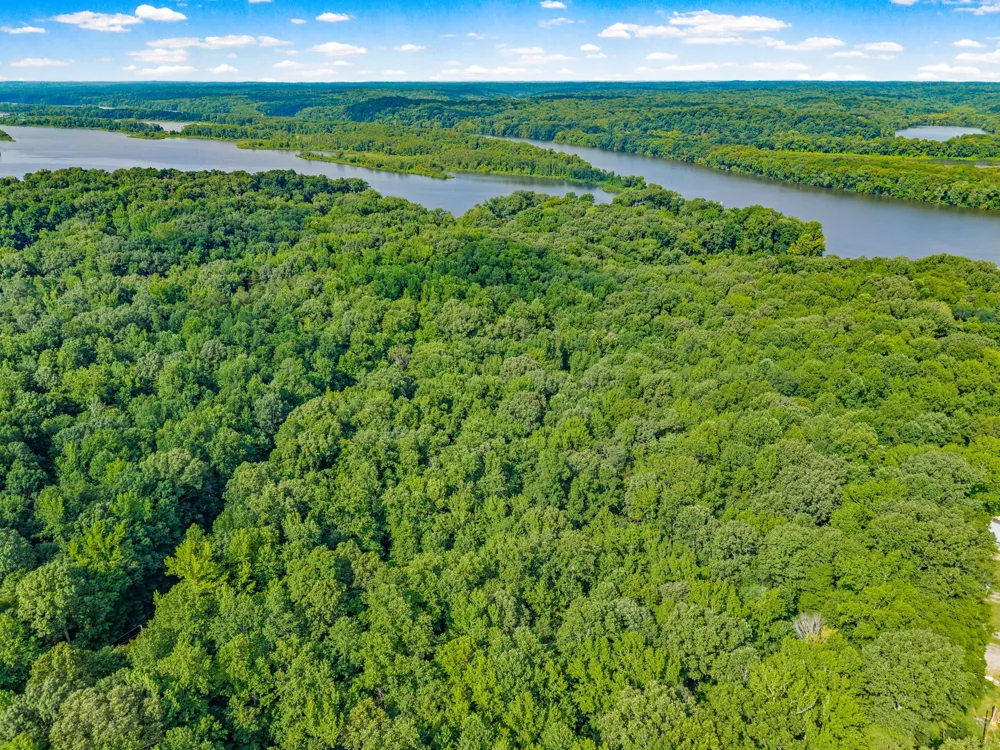 0 Forest Trail Bumpus Mills, TN 37028