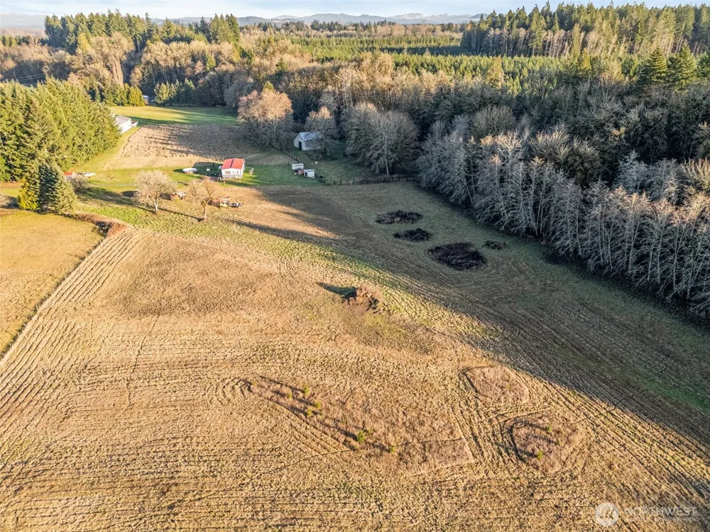 0 Collins Road Toledo, WA 98591