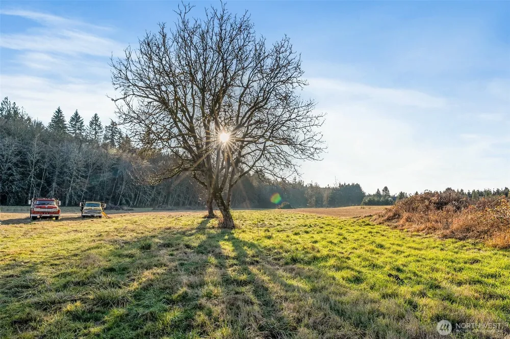 0 Collins Road Toledo, WA 98591
